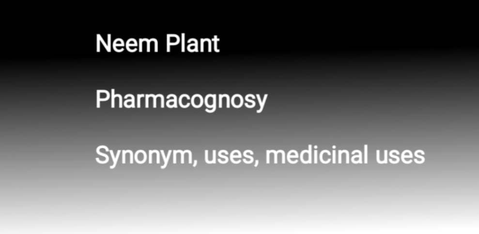 about neem plant