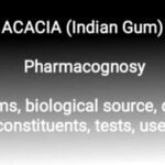 acacia pharmacognosy