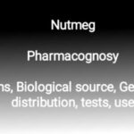 nutmeg biological source